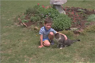 small_9400 1024 family yosemiteImg0060.webp